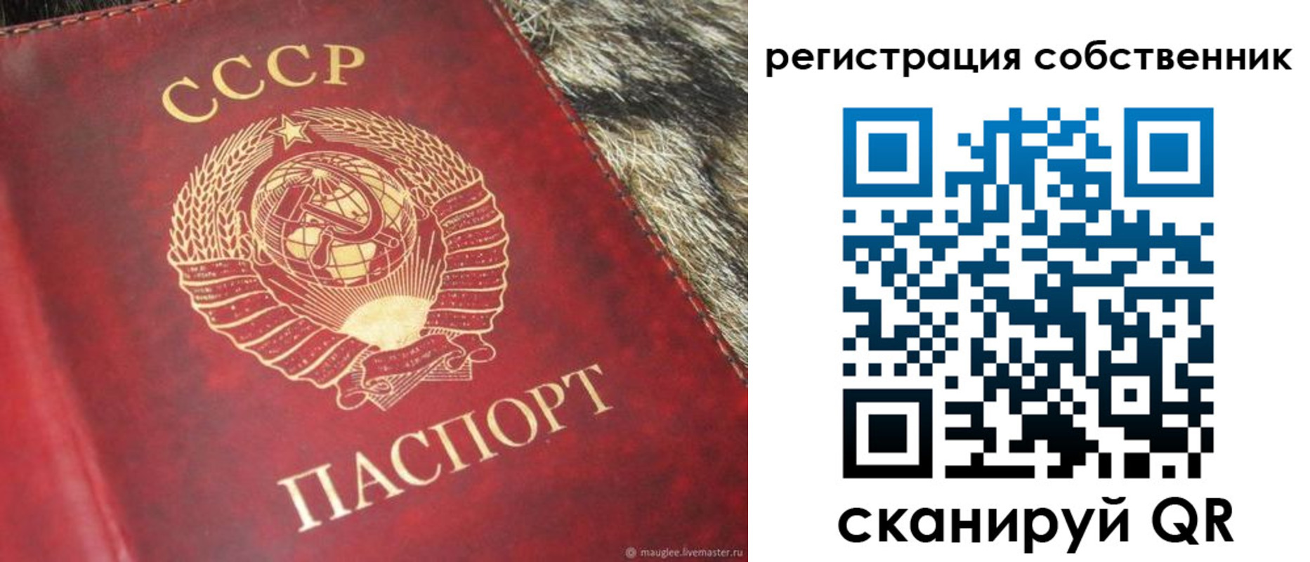 временная регистрация надежно в Коле