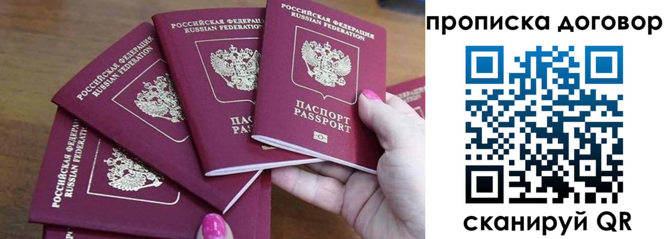 где прописаться в Коле